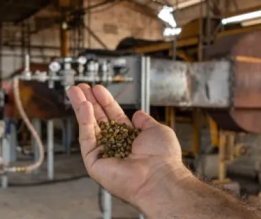 Projeto pioneiro usa gás natural na secagem de café